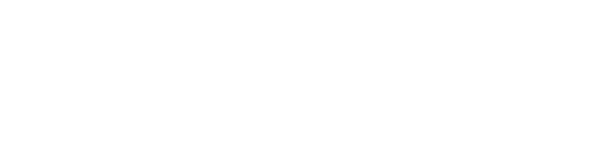 Hitcase Ferra Crafted Statement